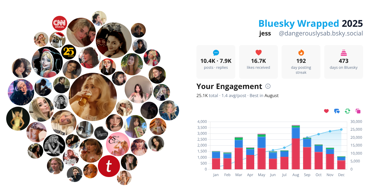 Your Bluesky Wrapped 2025 preview