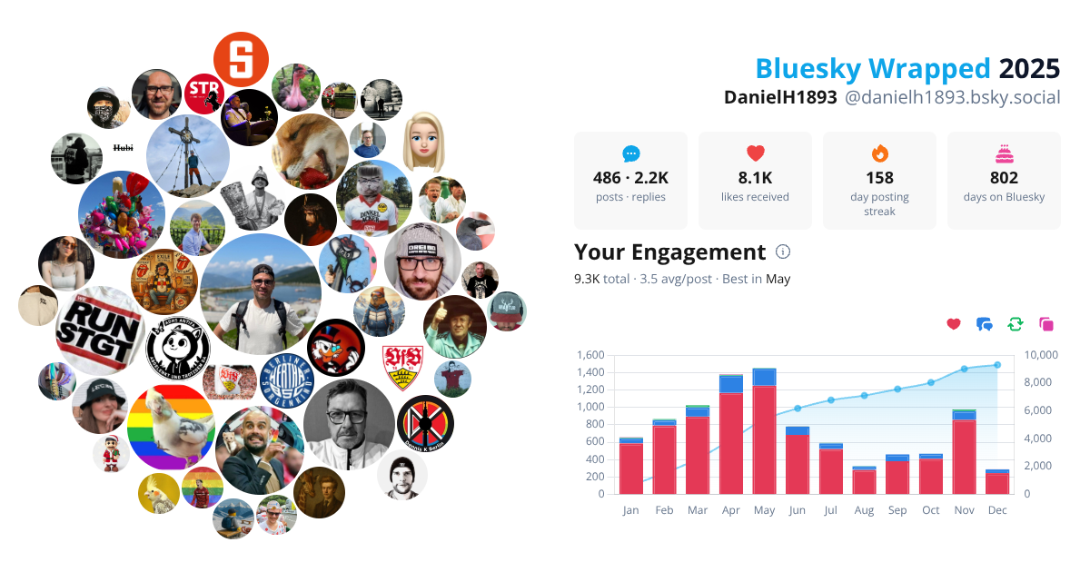 Your Bluesky Wrapped 2025 preview