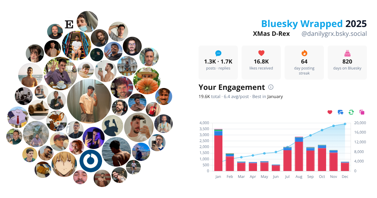 Your Bluesky Wrapped 2025 preview