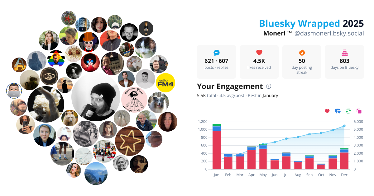 Your Bluesky Wrapped 2025 preview