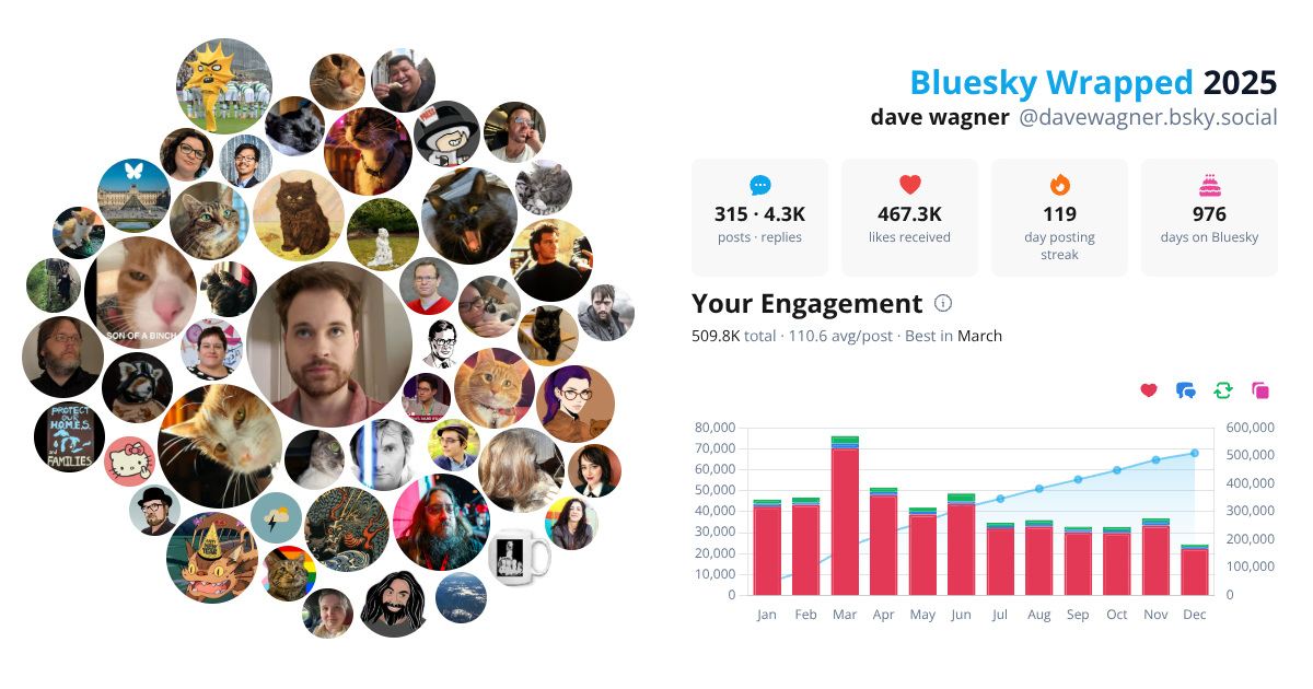Your Bluesky Wrapped 2025 preview