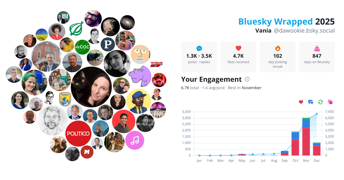 Your Bluesky Wrapped 2025 preview
