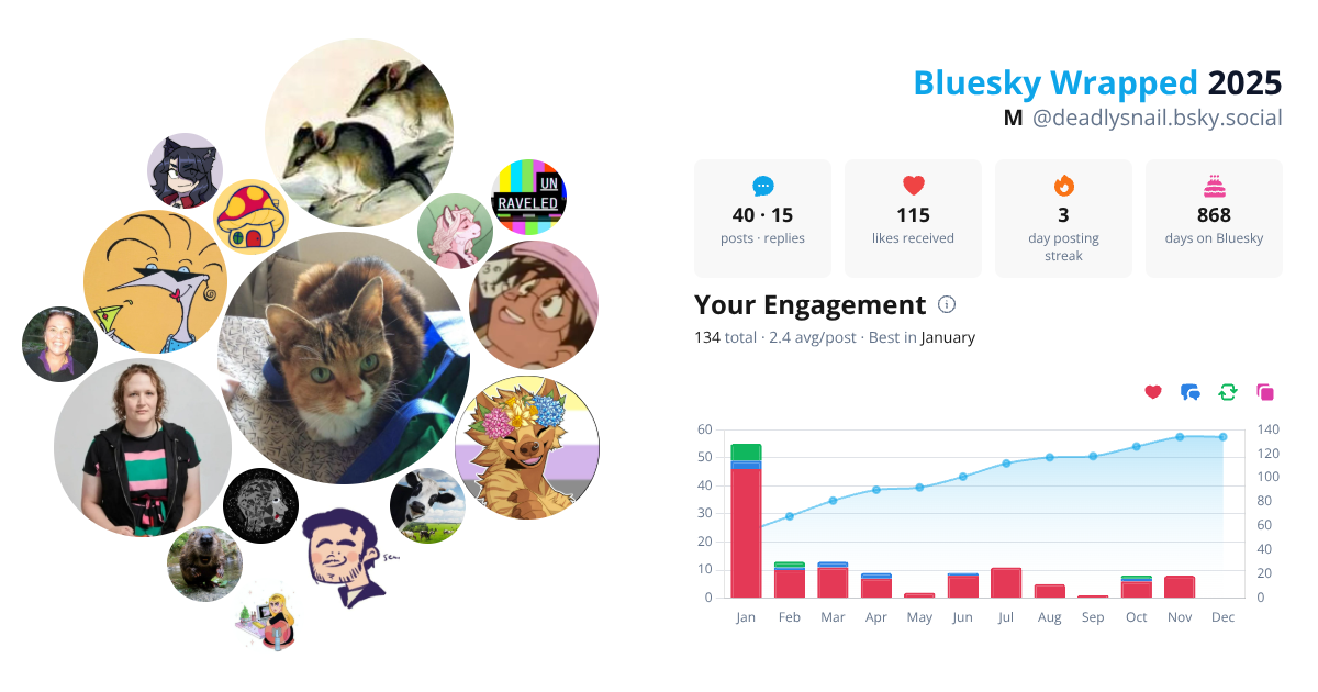 Your Bluesky Wrapped 2025 preview