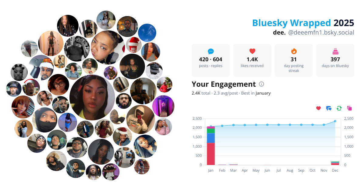 Your Bluesky Wrapped 2025 preview