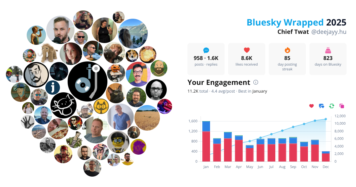 Your Bluesky Wrapped 2025 preview