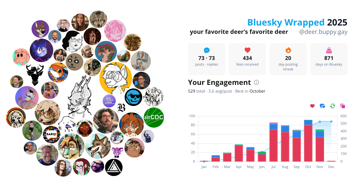 Your Bluesky Wrapped 2025 preview