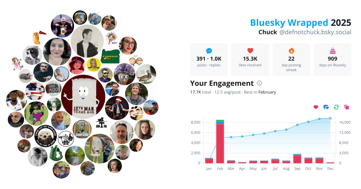 Your Bluesky Wrapped 2025 preview