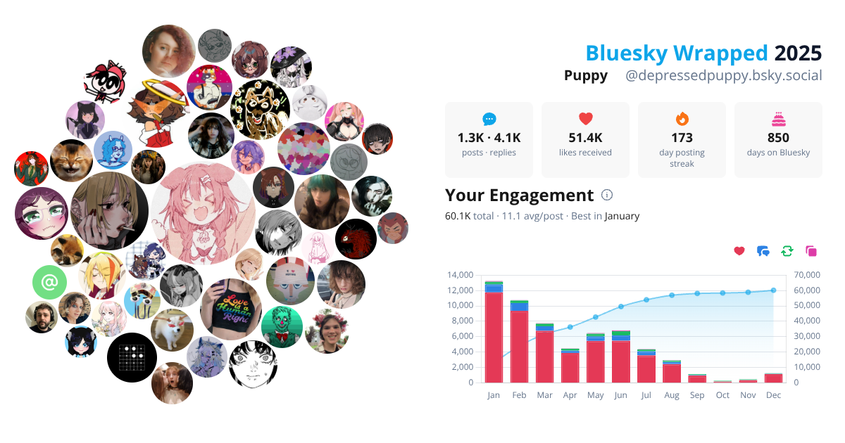 Your Bluesky Wrapped 2025 preview