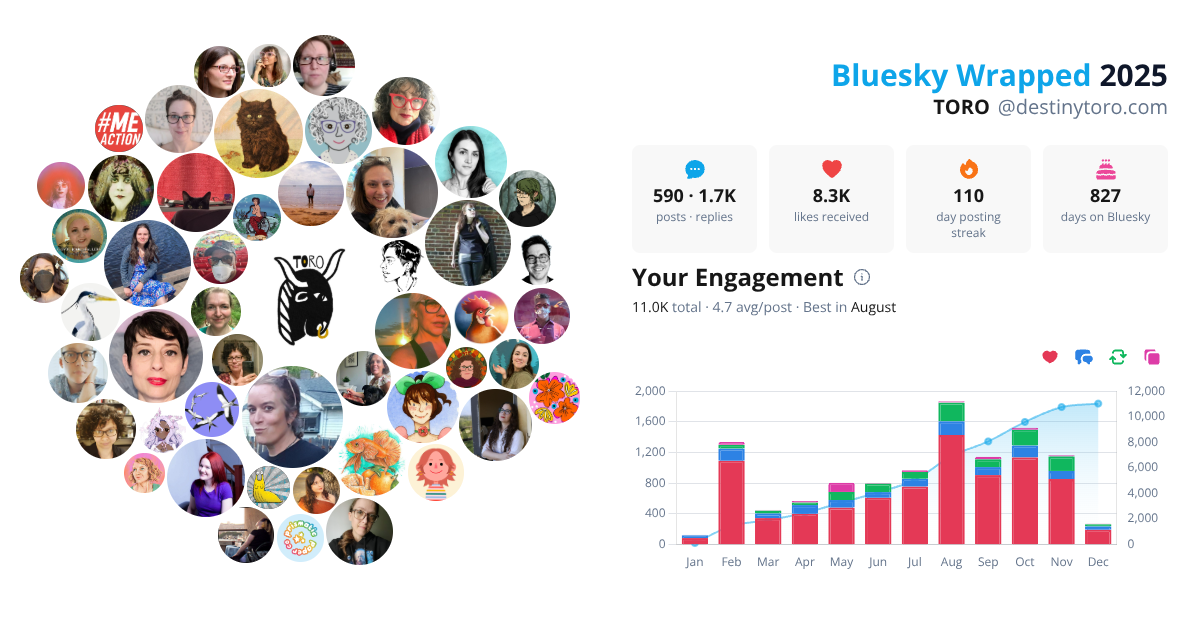 Your Bluesky Wrapped 2025 preview