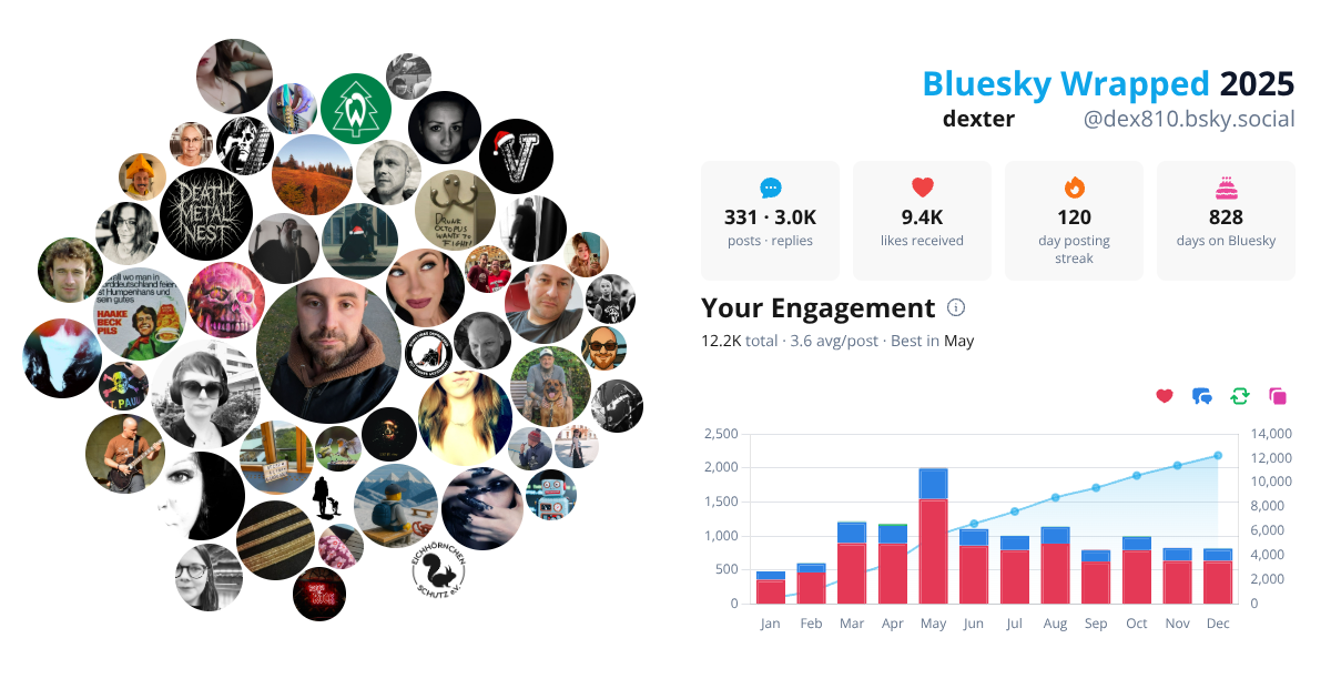 Your Bluesky Wrapped 2025 preview