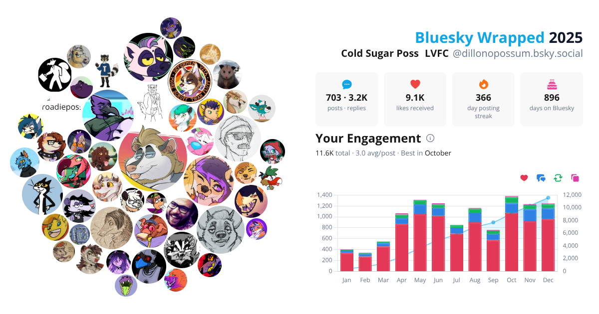 Your Bluesky Wrapped 2025 preview