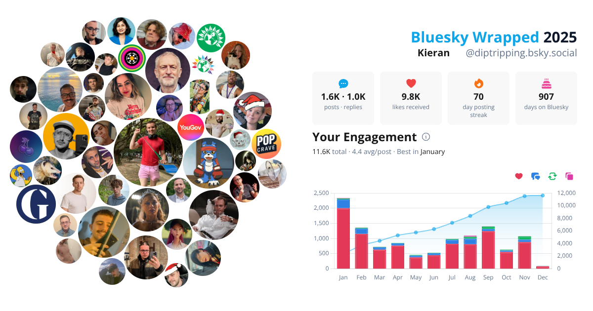 Your Bluesky Wrapped 2025 preview