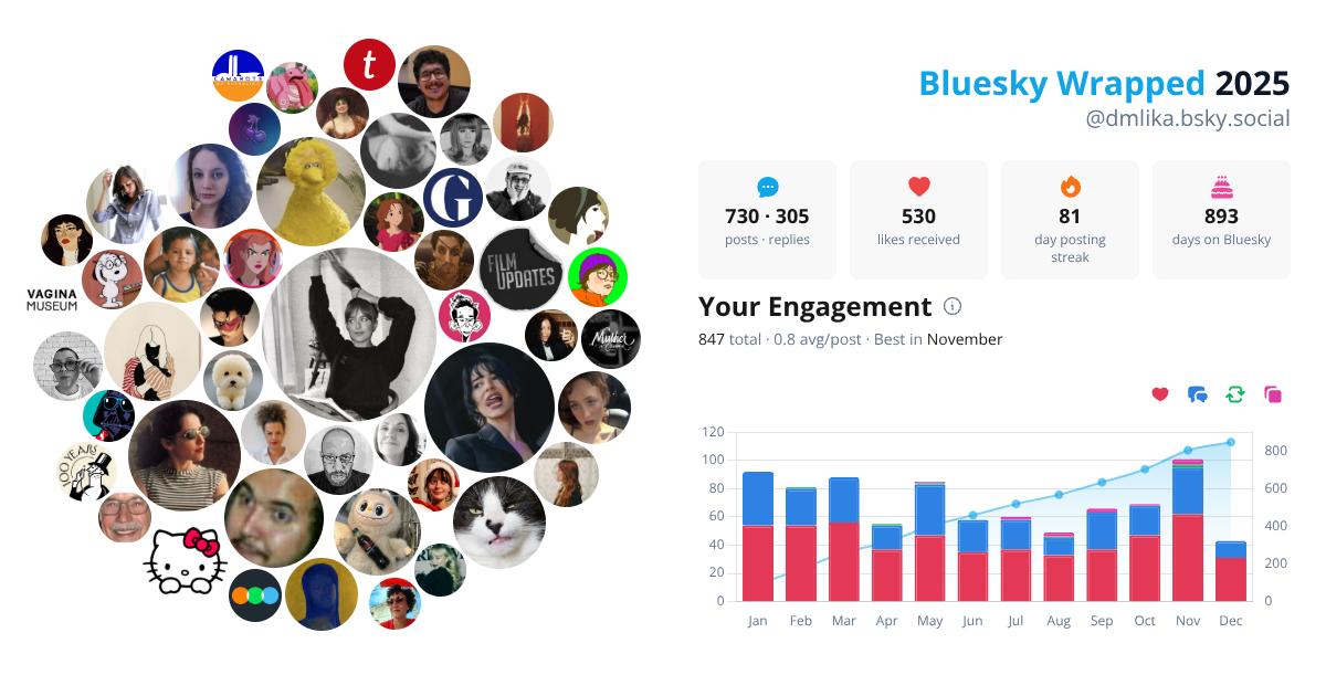 Your Bluesky Wrapped 2025 preview