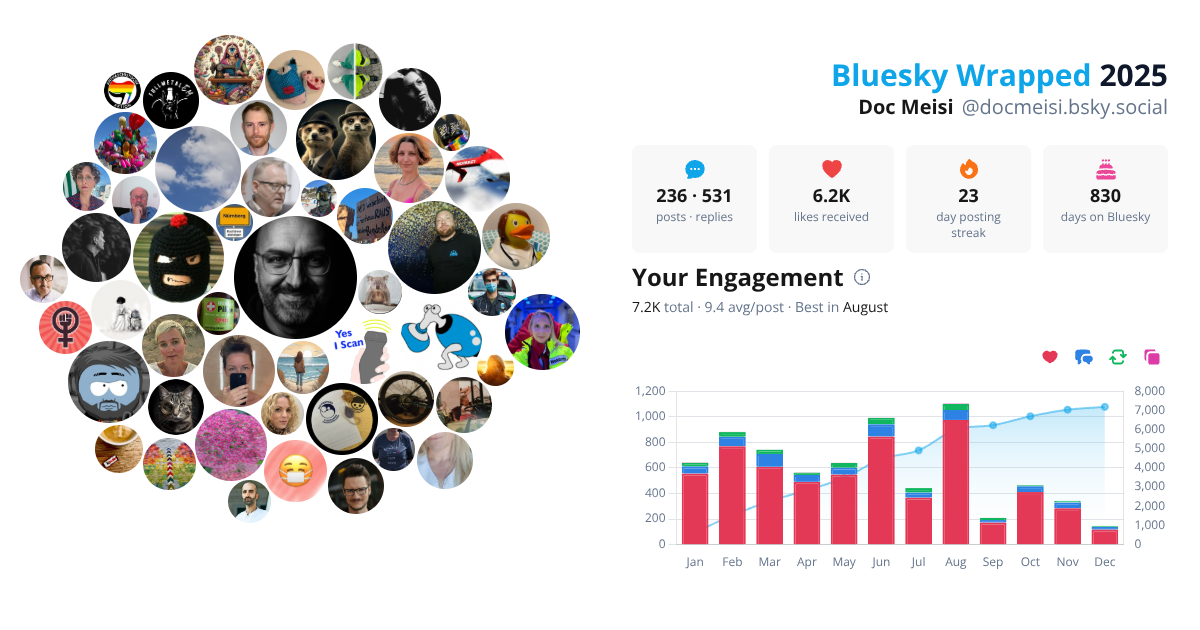 Your Bluesky Wrapped 2025 preview