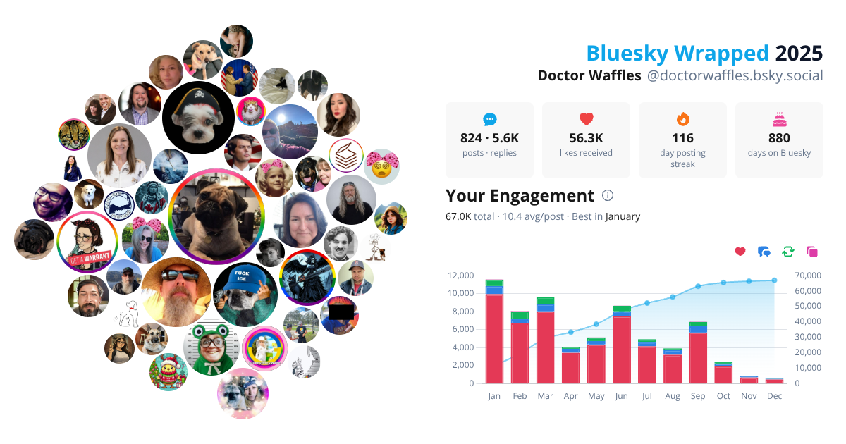 Your Bluesky Wrapped 2025 preview