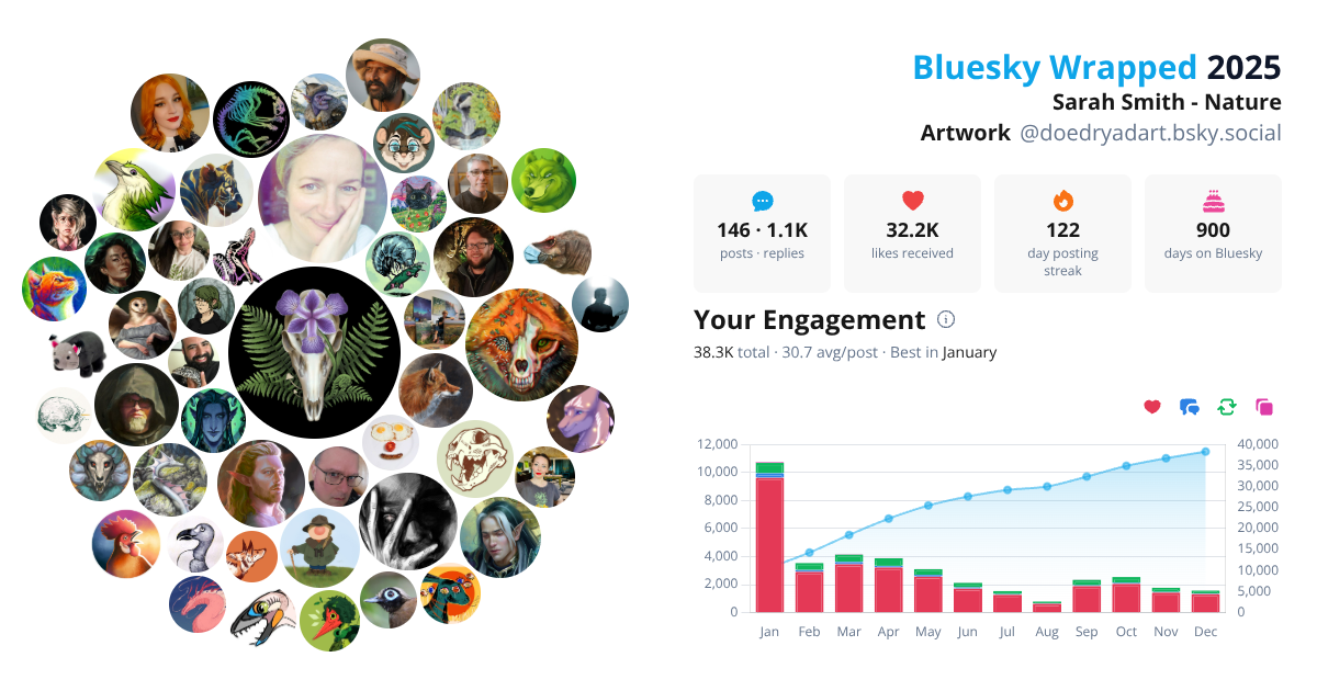 Your Bluesky Wrapped 2025 preview