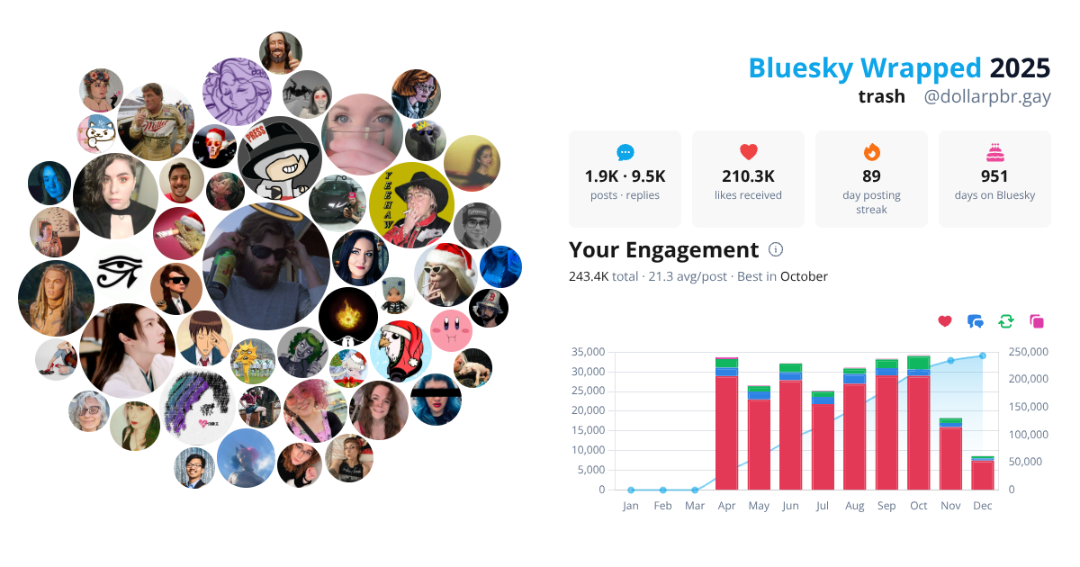 Your Bluesky Wrapped 2025 preview