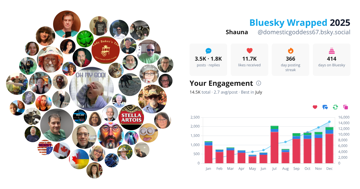 Your Bluesky Wrapped 2025 preview