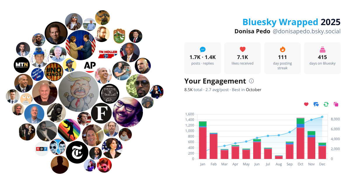 Your Bluesky Wrapped 2025 preview