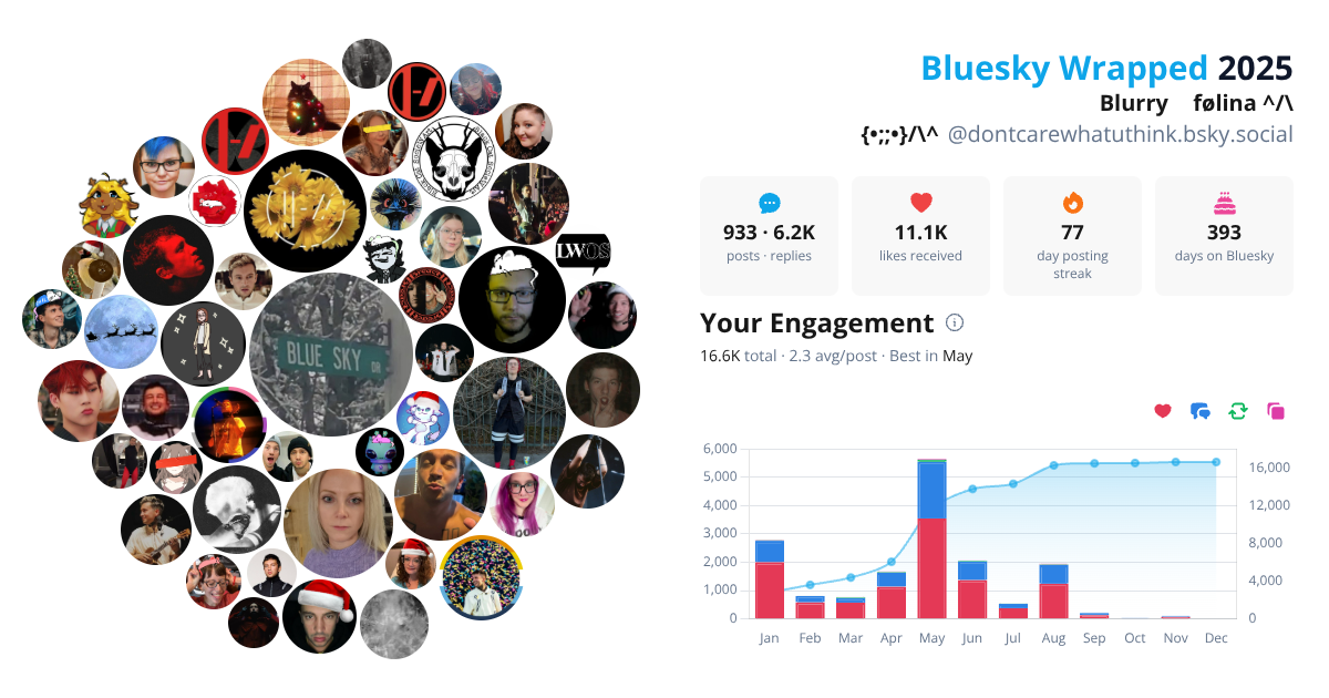Your Bluesky Wrapped 2025 preview