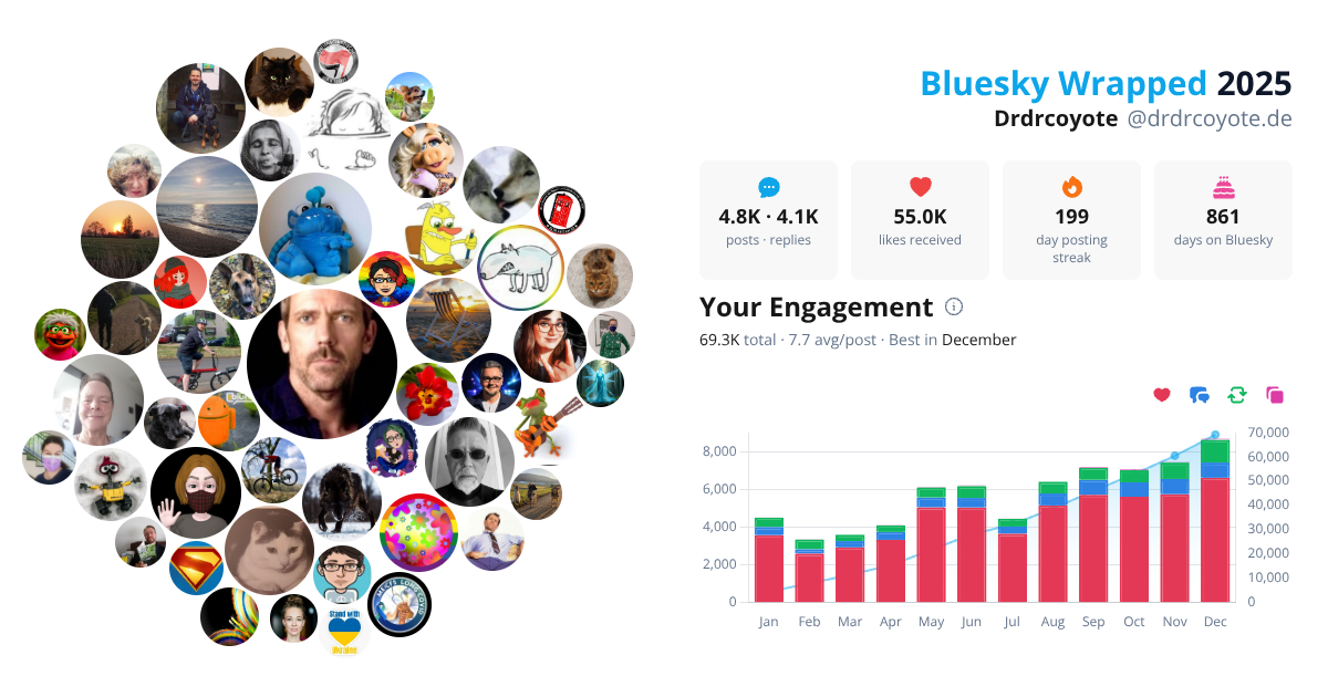 Your Bluesky Wrapped 2025 preview