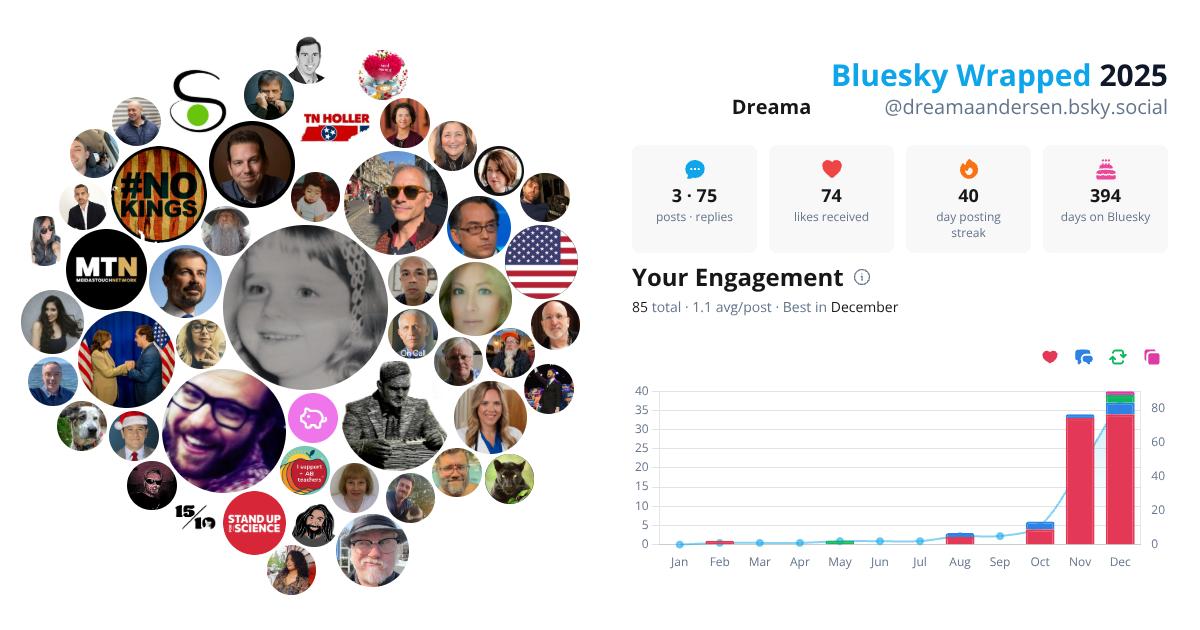 Your Bluesky Wrapped 2025 preview