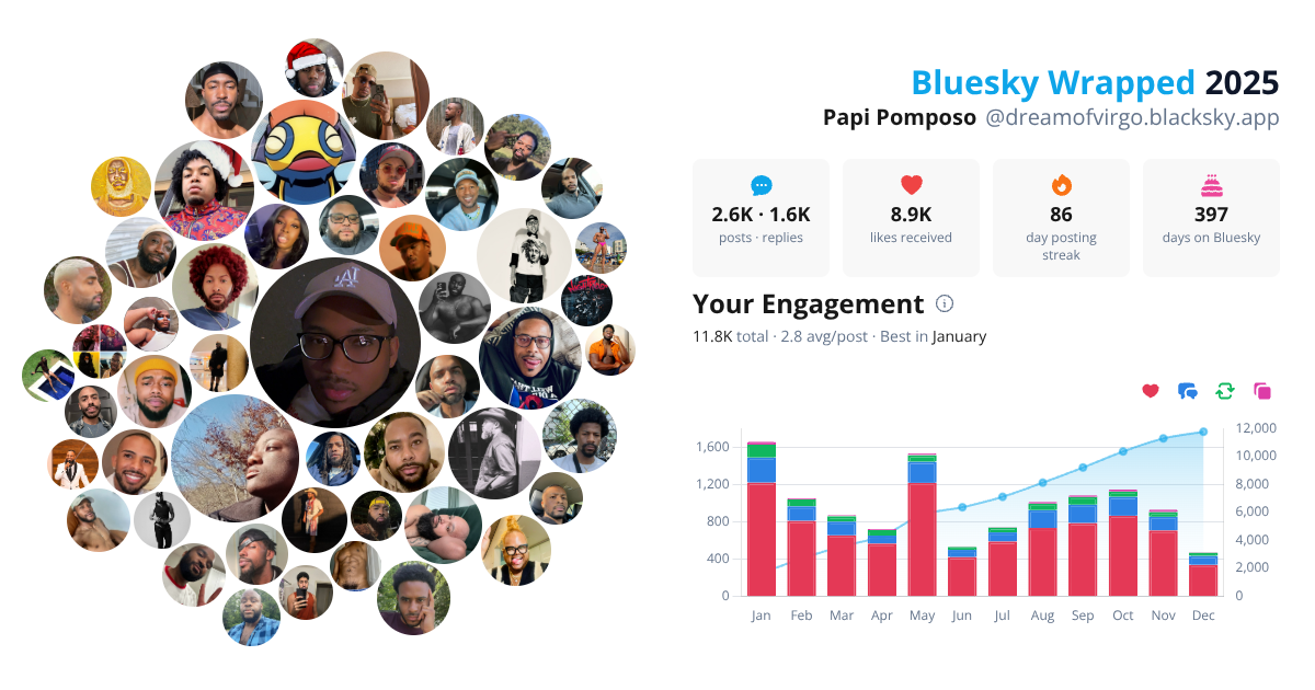 Your Bluesky Wrapped 2025 preview