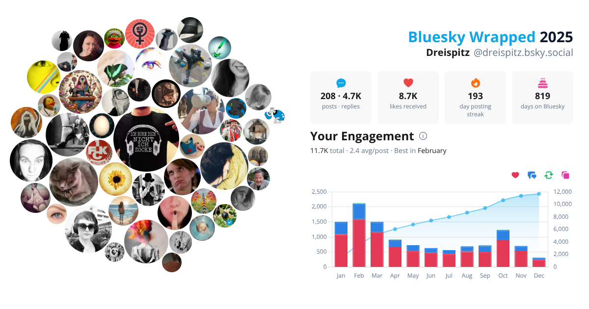 Your Bluesky Wrapped 2025 preview