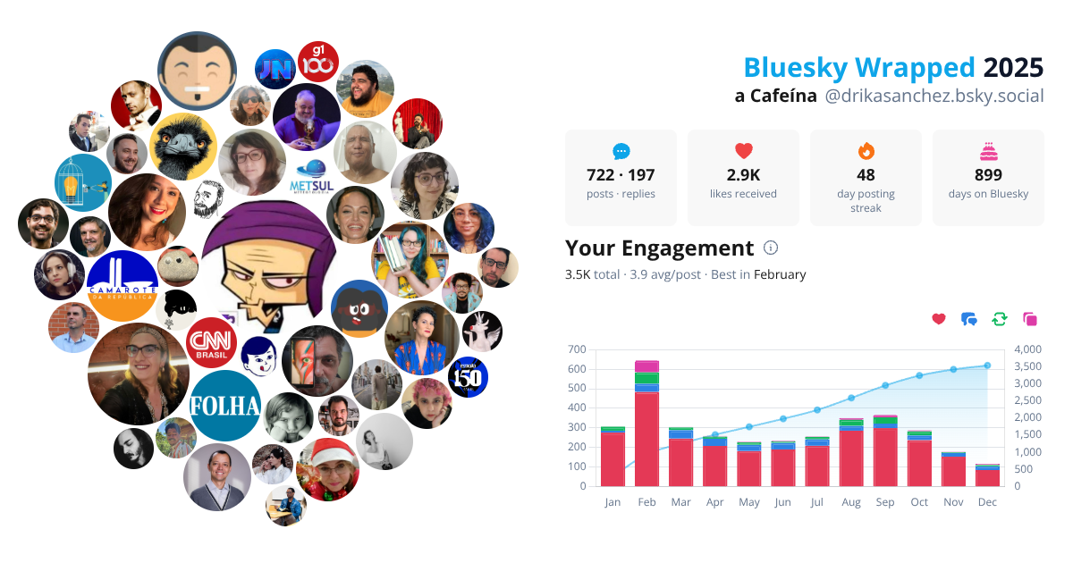 Your Bluesky Wrapped 2025 preview
