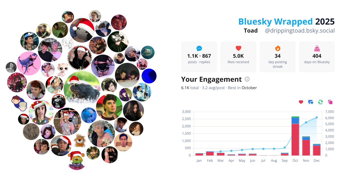 Your Bluesky Wrapped 2025 preview