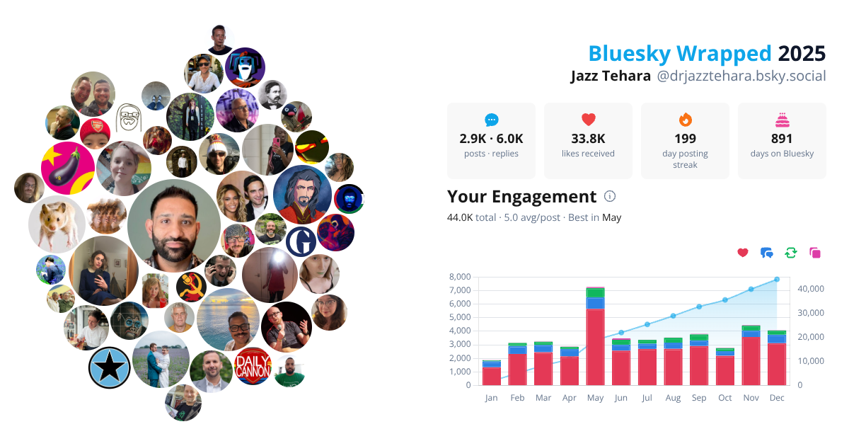 Your Bluesky Wrapped 2025 preview