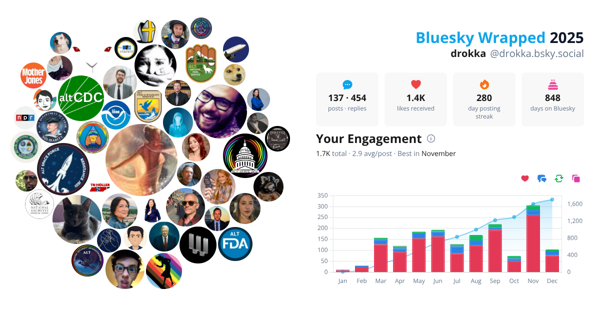 Your Bluesky Wrapped 2025 preview