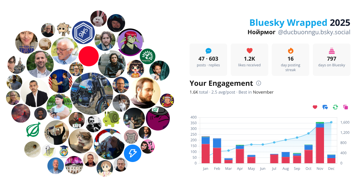 Your Bluesky Wrapped 2025 preview