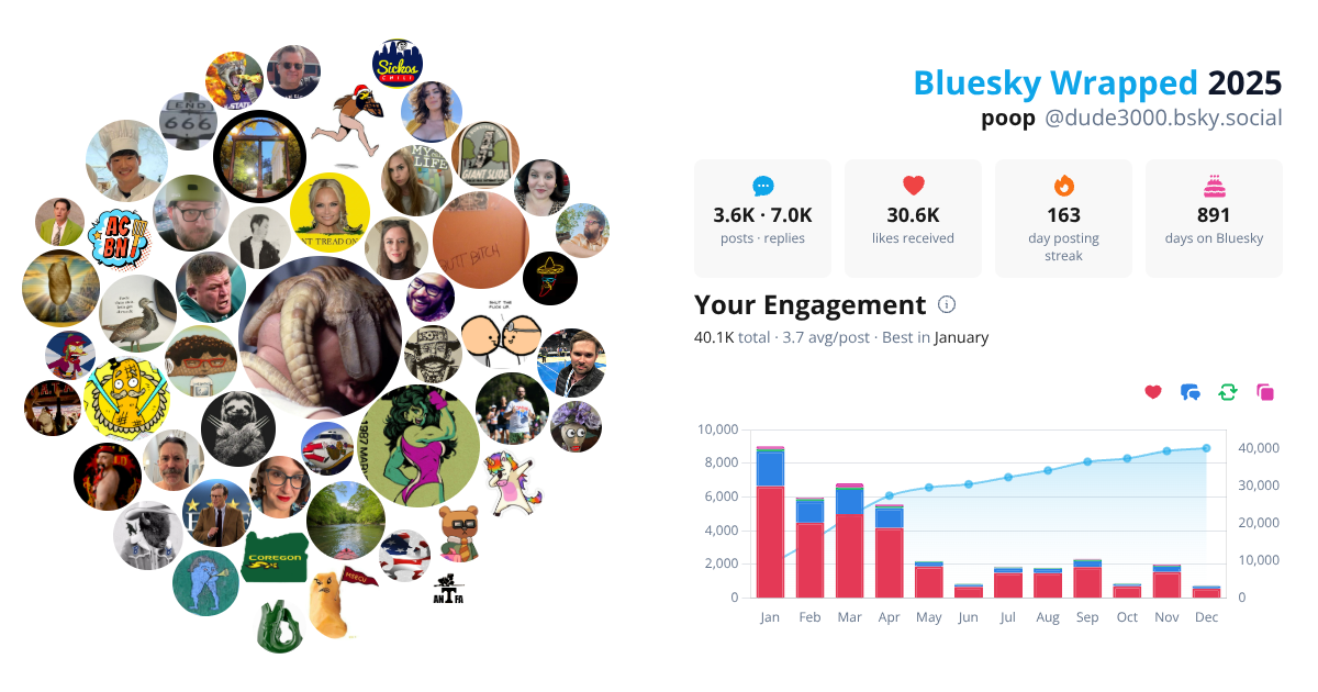 Your Bluesky Wrapped 2025 preview