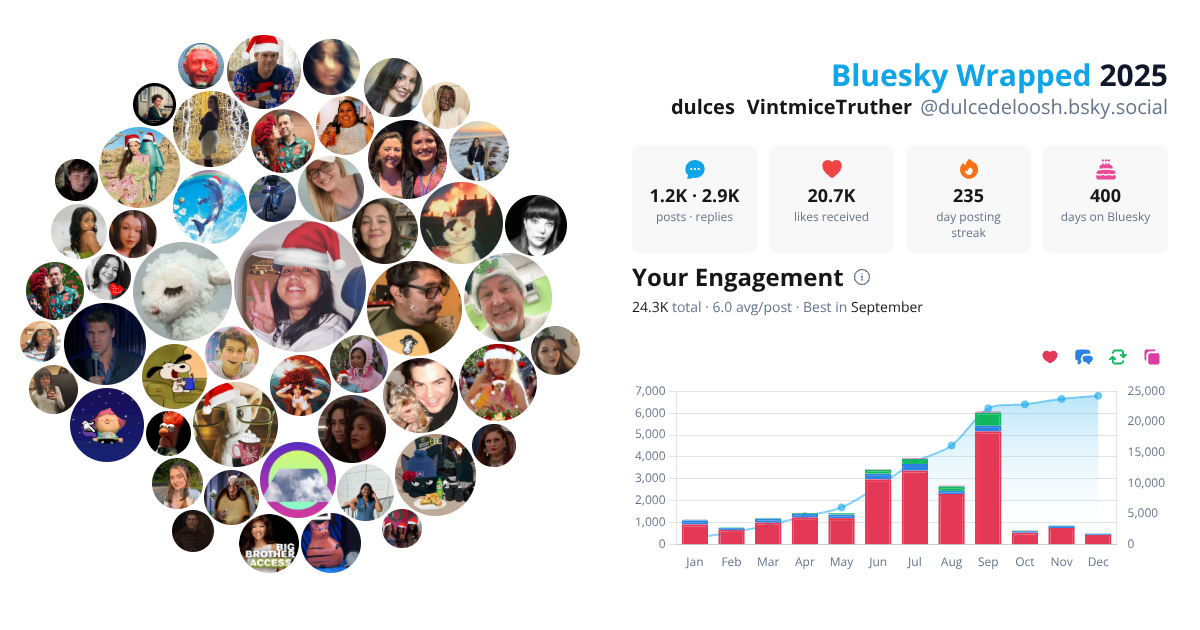 Your Bluesky Wrapped 2025 preview