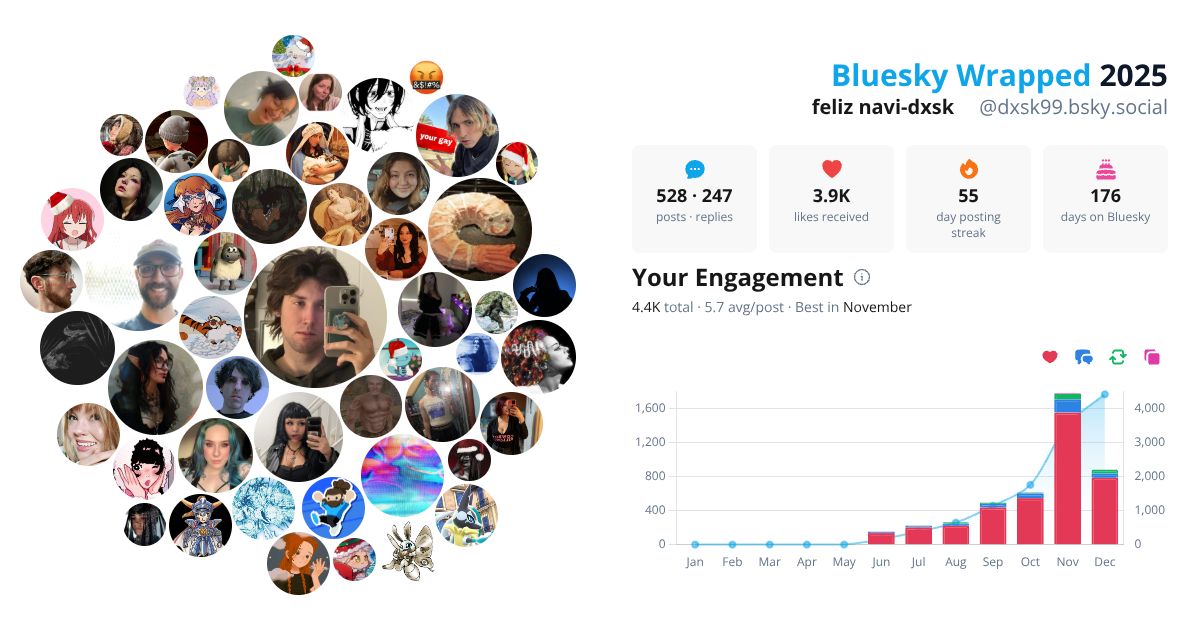Your Bluesky Wrapped 2025 preview
