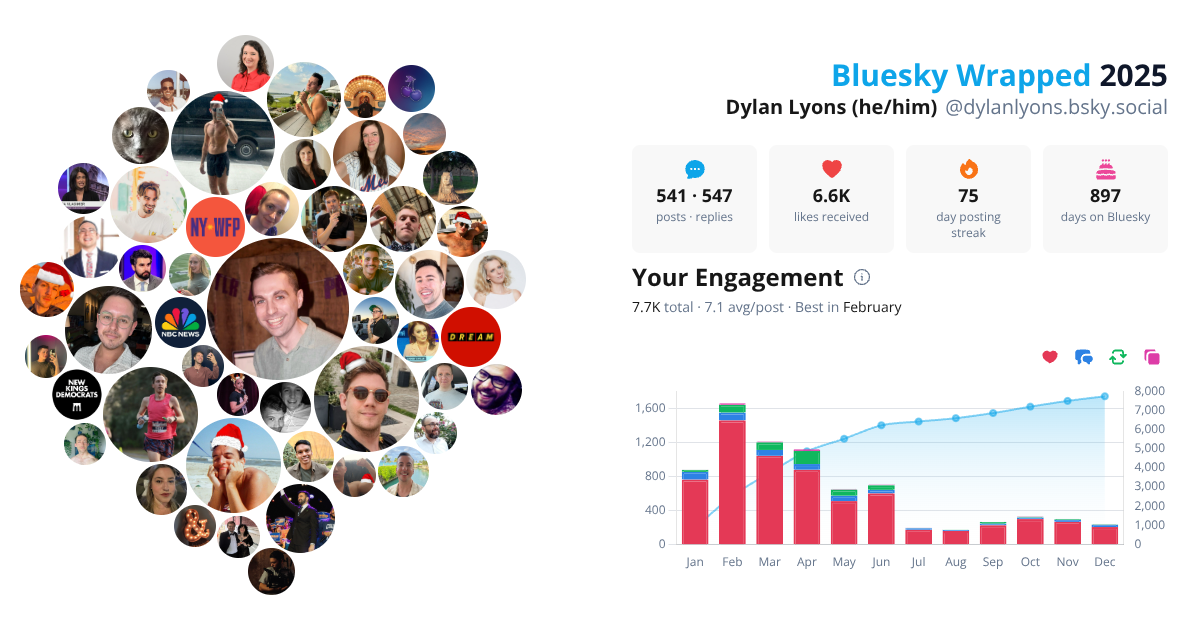 Your Bluesky Wrapped 2025 preview