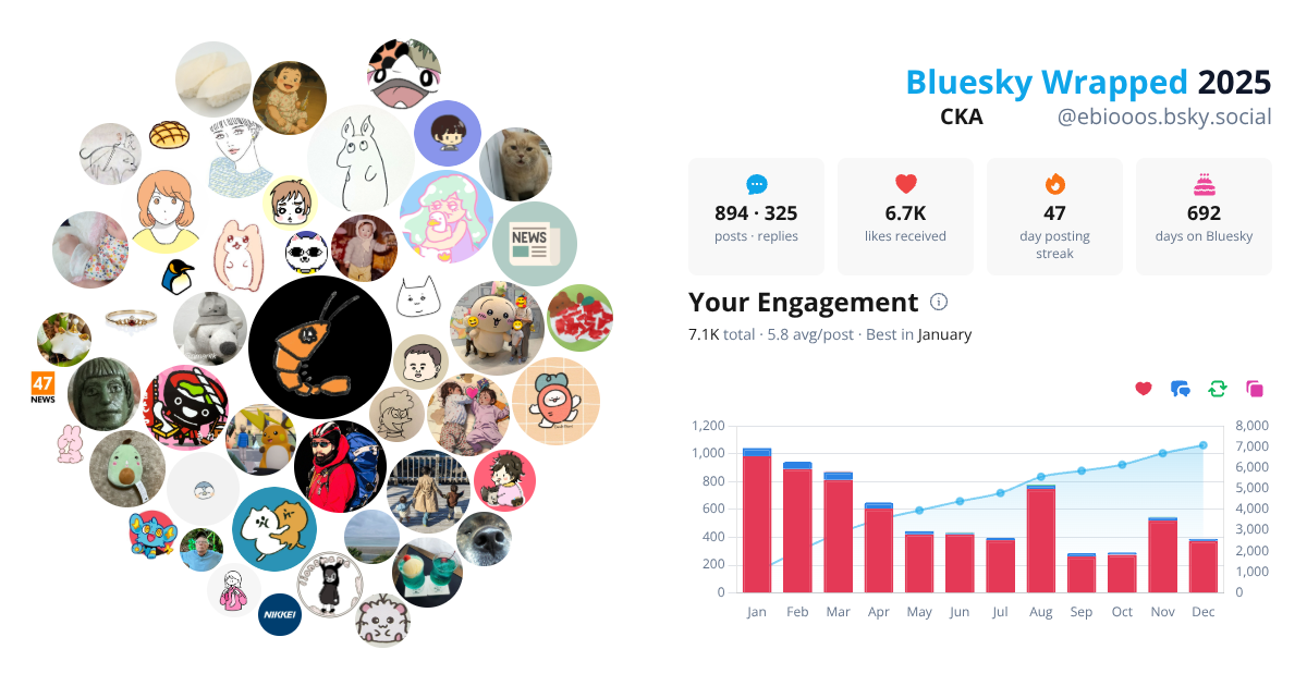 Your Bluesky Wrapped 2025 preview