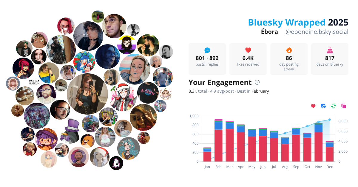 Your Bluesky Wrapped 2025 preview
