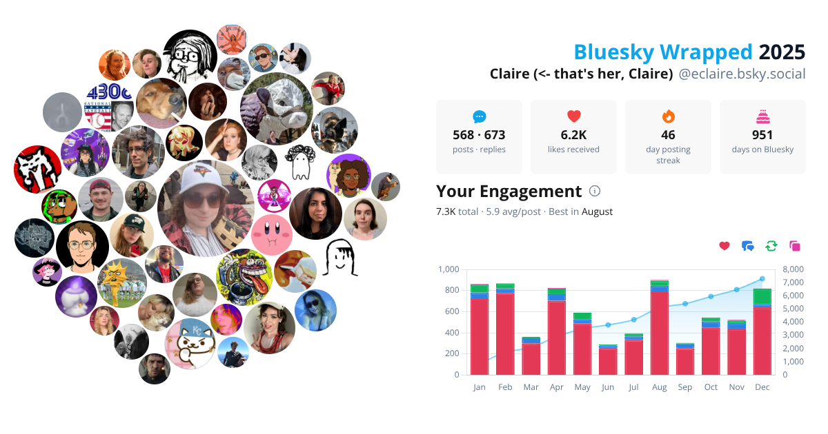 Your Bluesky Wrapped 2025 preview