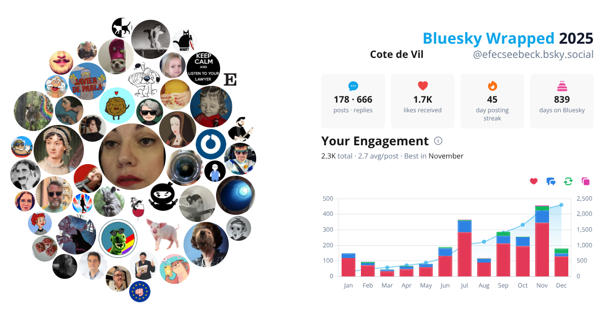 Your Bluesky Wrapped 2025 preview
