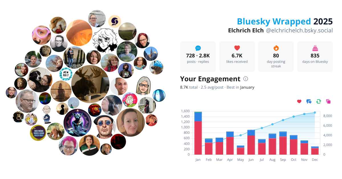 Your Bluesky Wrapped 2025 preview