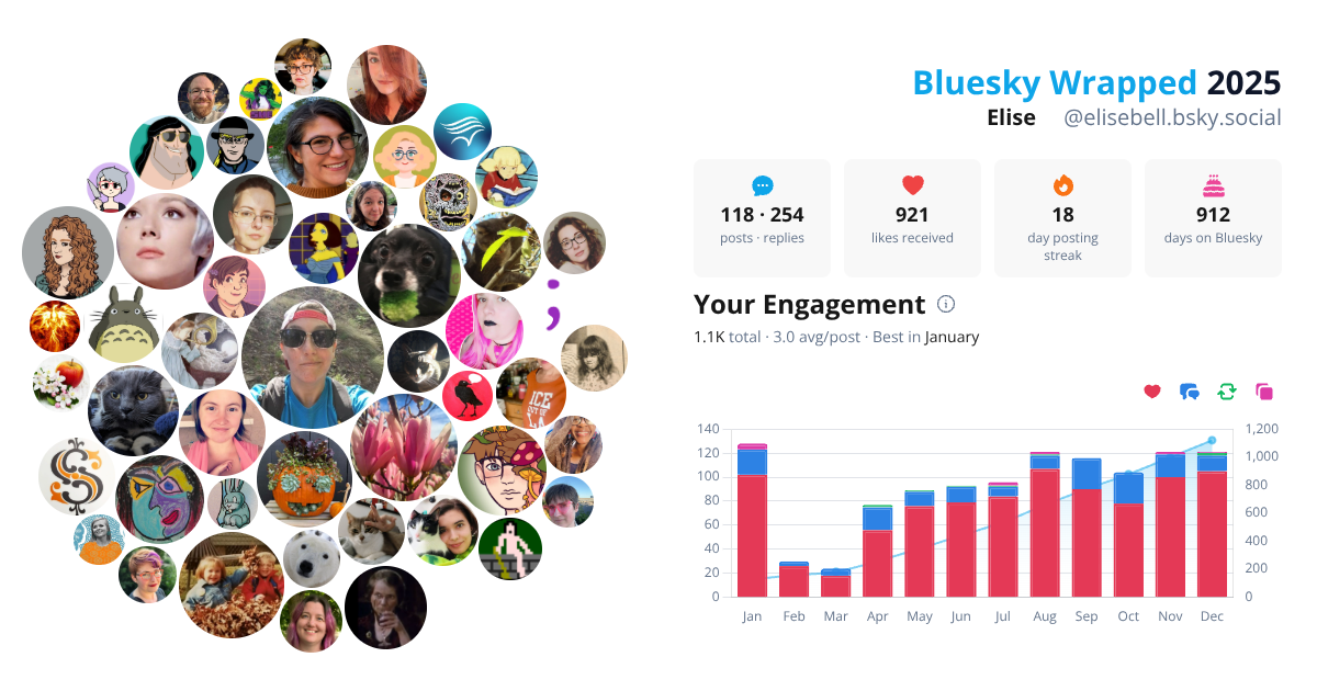 Your Bluesky Wrapped 2025 preview