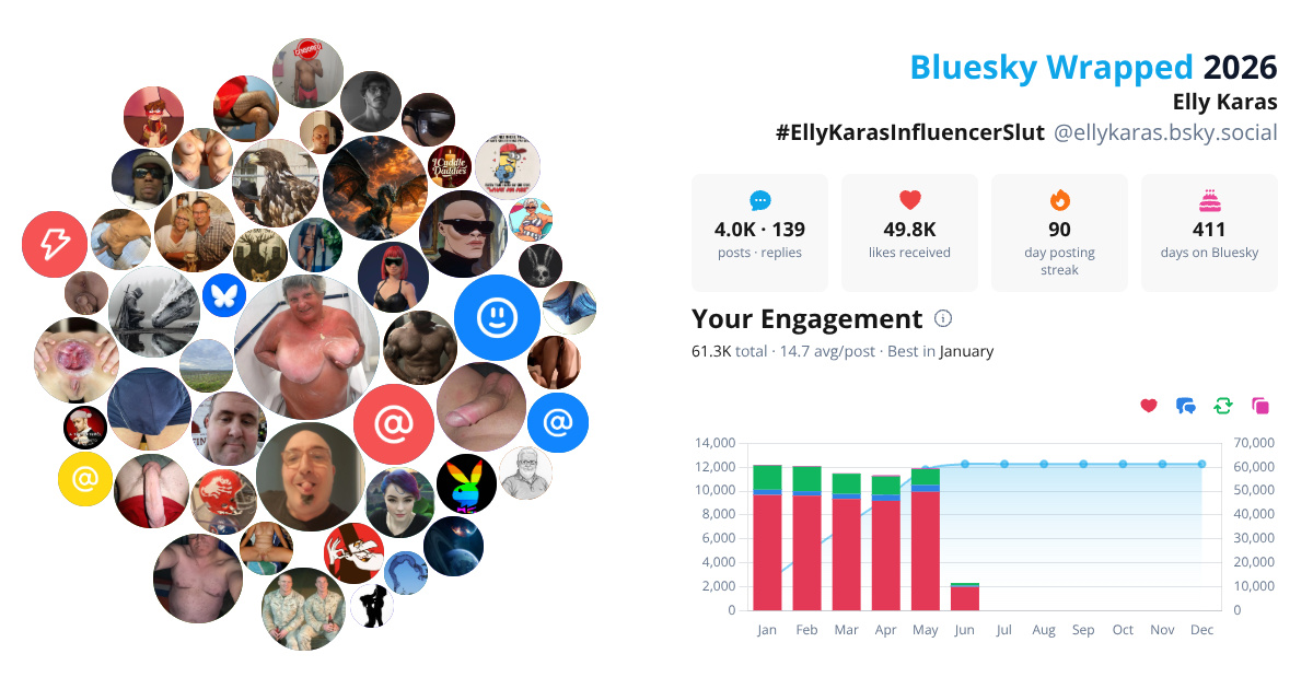 Your Bluesky Wrapped 2026 preview