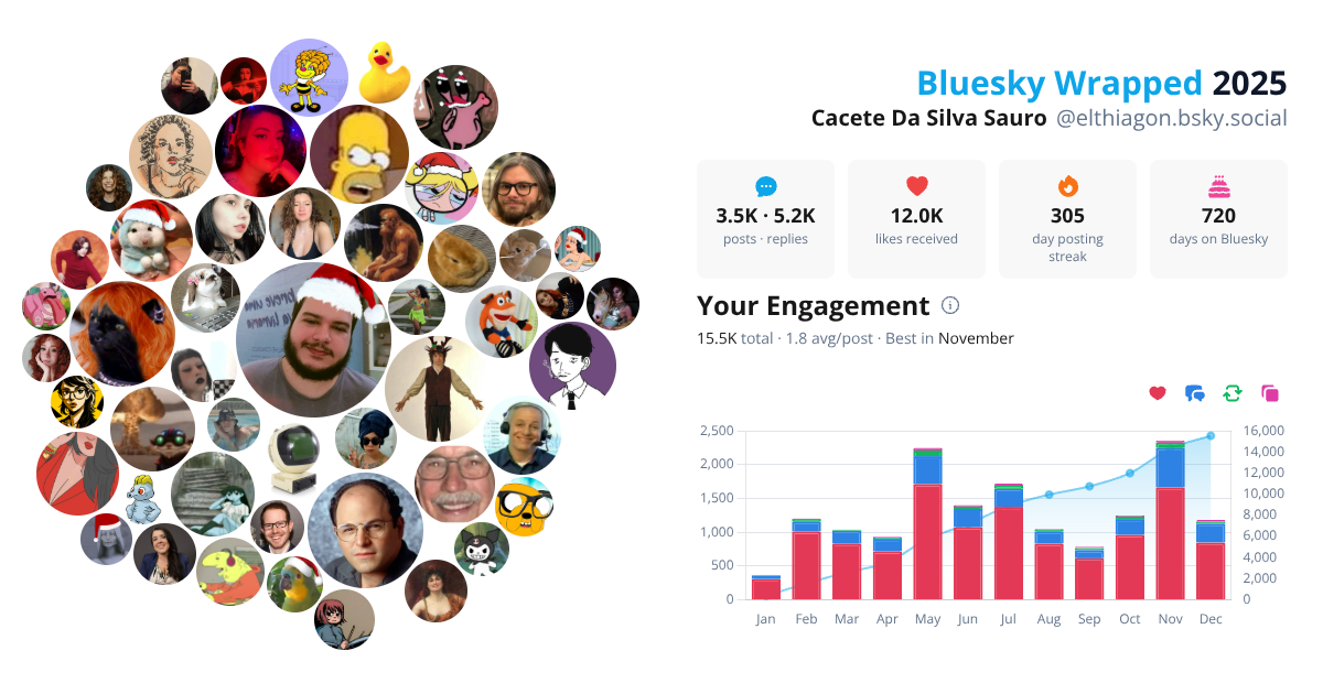 Your Bluesky Wrapped 2025 preview
