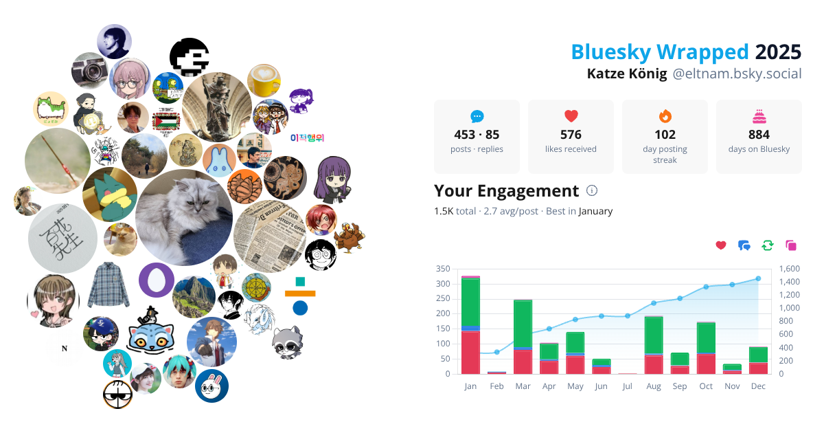 Your Bluesky Wrapped 2025 preview