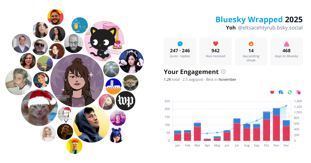 Your Bluesky Wrapped 2025 preview