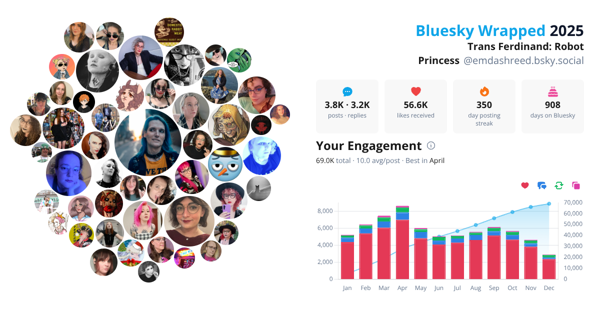 Your Bluesky Wrapped 2025 preview