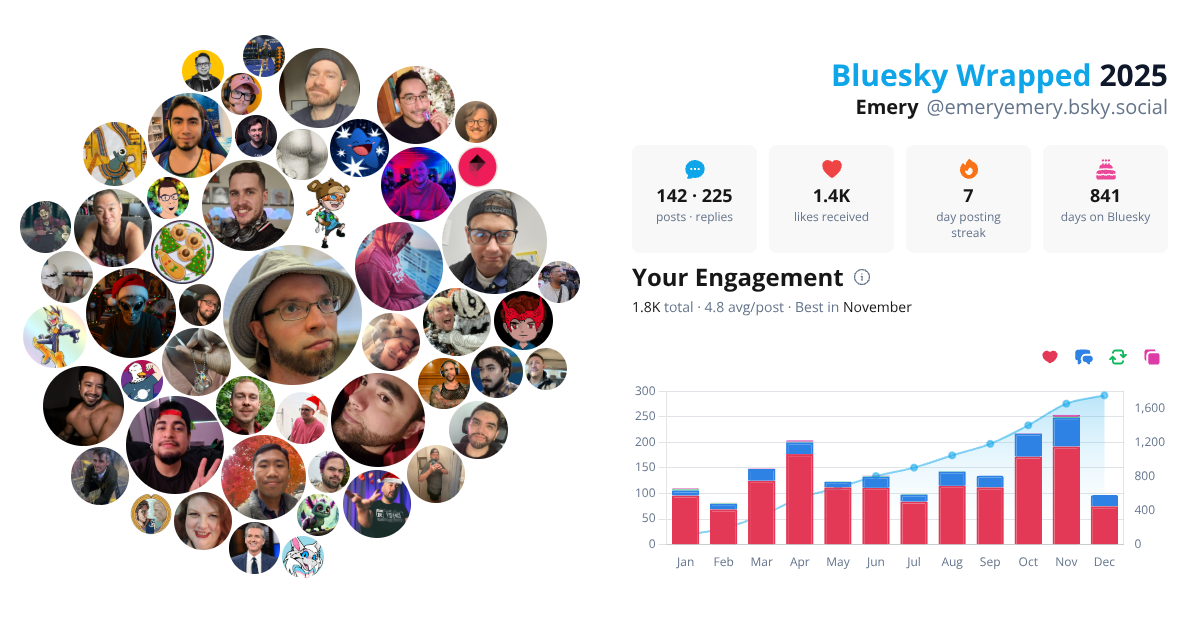 Your Bluesky Wrapped 2025 preview