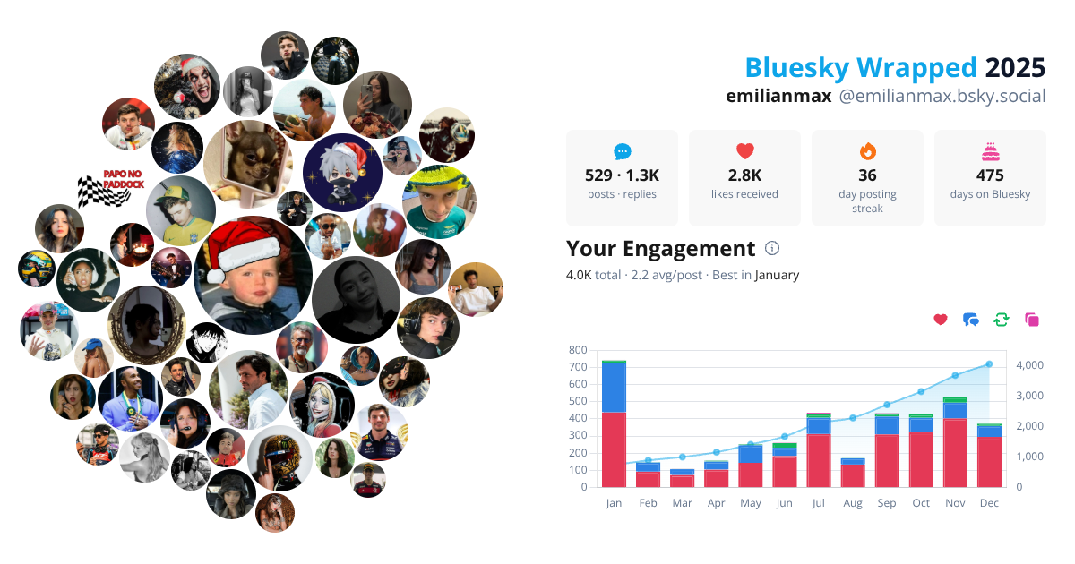 Your Bluesky Wrapped 2025 preview